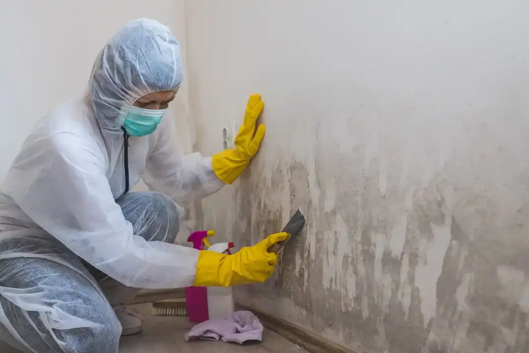 water damage restoration service Robinhood Park